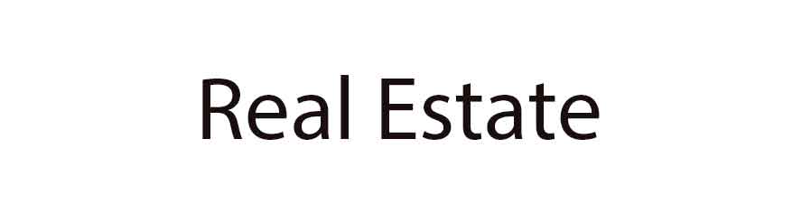 Real Estate Developers